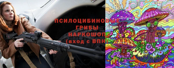 ГАЛЛЮЦИНОГЕННЫЕ ГРИБЫ Пересвет