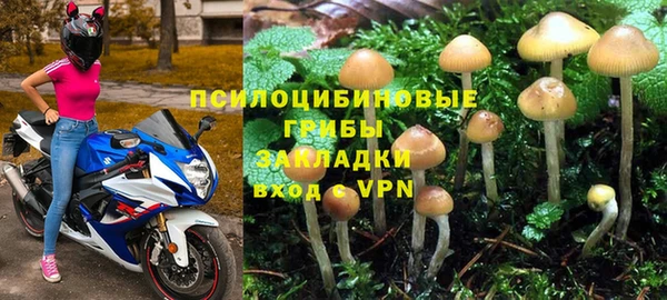 гашик Абаза