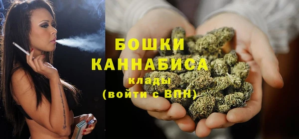ГАЛЛЮЦИНОГЕННЫЕ ГРИБЫ Пересвет