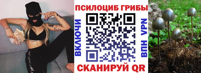 Псилоцибиновые грибы ЛСД  Нефтегорск 